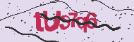 Captcha認証コード